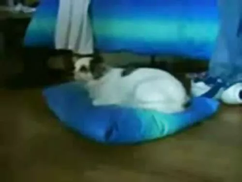 Un poze femei flocoa ...